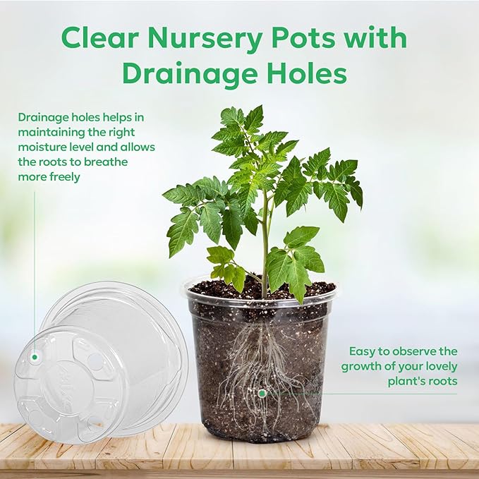 50 Packs 4 Inch Reinforced Clear Nursery Pots with Drainage Holes, Transparent Plastic Plant Pot Seedling Planter for Vegetable Propagation, Root Cutting, Seed Starting