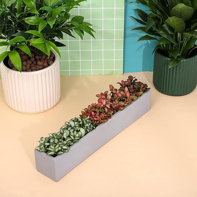 14.5-Inch Grey Rectangle Concrete Succulent Planter Windowsill Boxes