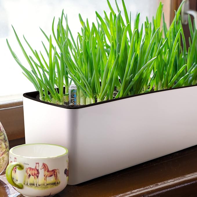 Skelang 2-Pack Self Watering Planter, Rectangle Flower Pot with Water Level Indicator, Window Gardening Box for Indoor Plants, Succulent, Sprout, Pepper