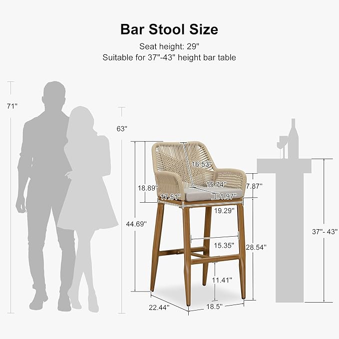 PURPLE LEAF Outdoor 29" Bar Stools Set of 2, Boho Patio Bar Height Chair with Cushion and Back for Outdoor and Indoor, Garden, Patio, Teak