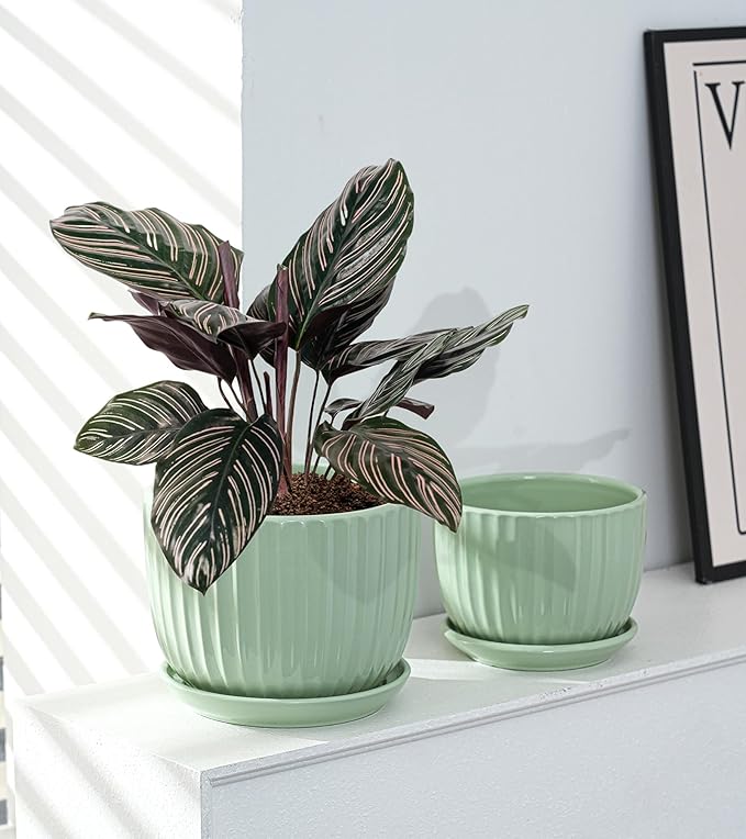 Ton Sin Flower Pots, Light Green Ceramic Plant Pots Set of 3,Small Glazed Succulent Pots with Drainage Hole,Cactus Planter with Saucer,Outdoor Garden Pots (Green)