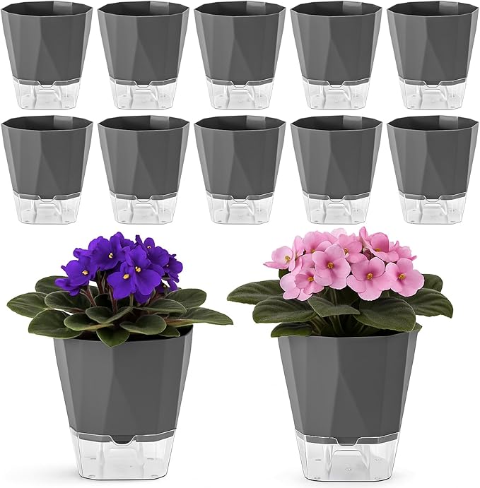 12 Pack Self Watering Pots for Indoor Plants, 5 Inches Self Watering Planters African Violet Self Watering Clear Pots for Plants Herb Orchid Flower Houseplant, Dark Grey