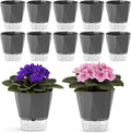 12 Pack Self Watering Pots for Indoor Plants, 5 Inches Self Watering Planters African Violet Self Watering Clear Pots for Plants Herb Orchid Flower Houseplant, Dark Grey