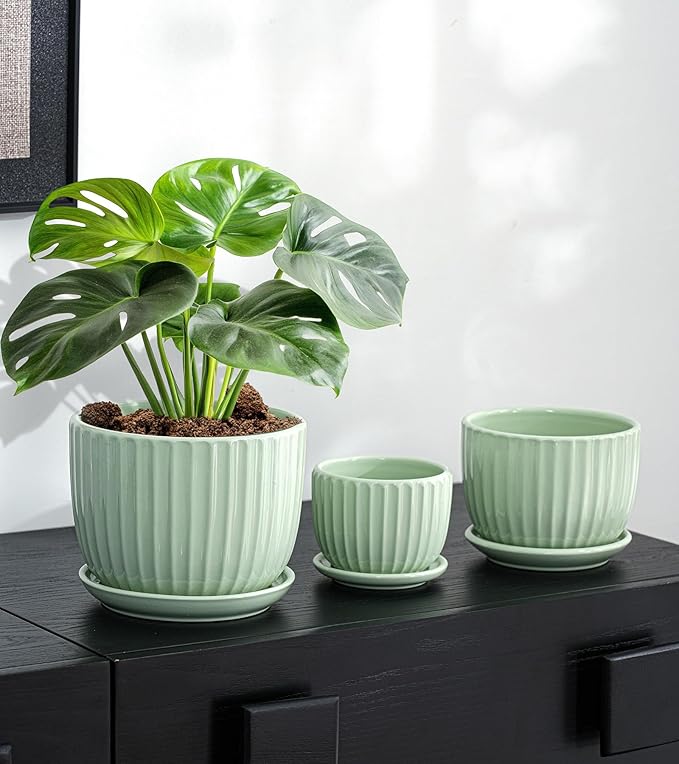 Ton Sin Flower Pots, Light Green Ceramic Plant Pots Set of 3,Small Glazed Succulent Pots with Drainage Hole,Cactus Planter with Saucer,Outdoor Garden Pots (Green)