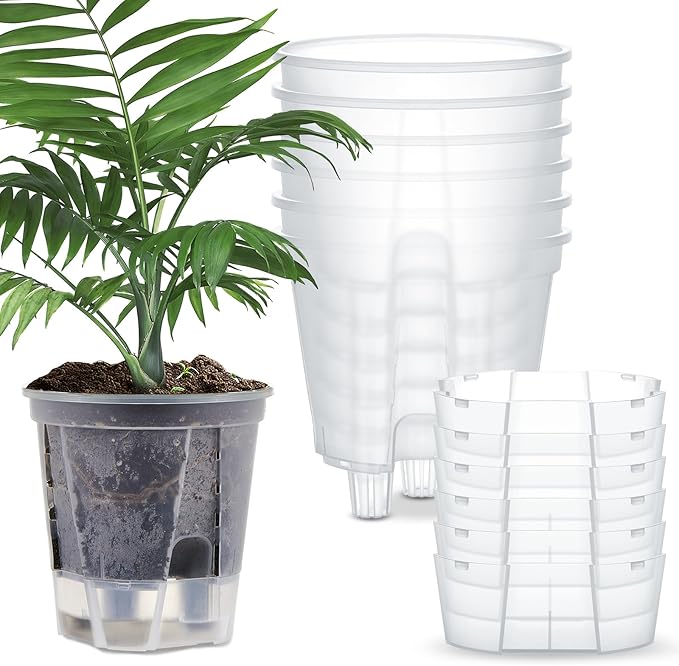 Self Watering Pots for Indoor Plants with Deep Reservoir and High Drainage Holes for Outdoor Plants and Flowers, Bare Root Planter(5.91'',Clear,6 Pcs)