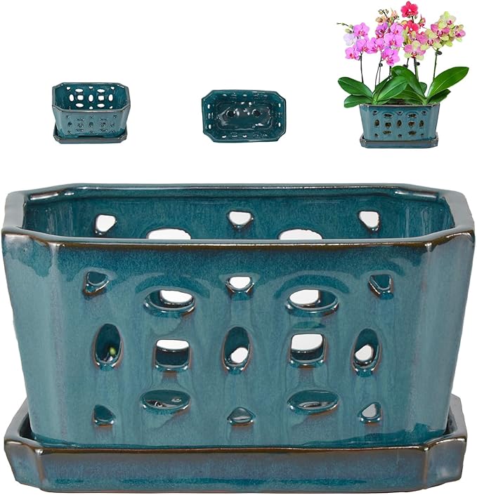 W&W Orchid Pot with Holes and Saucer for Repotting, Teal, 9.7 Inches