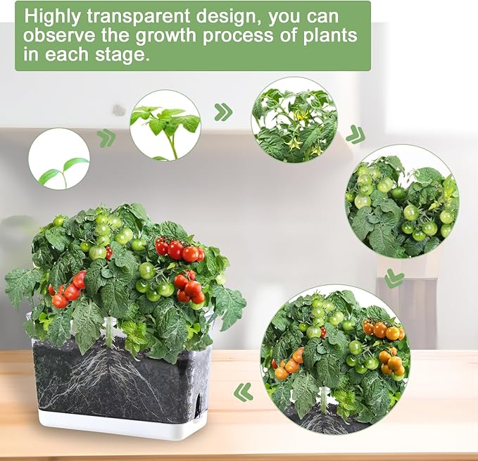 Self Watering Planters - 4 Pack Rectangular Clear Plant Pots with Drainage Holes for Indoor Plants