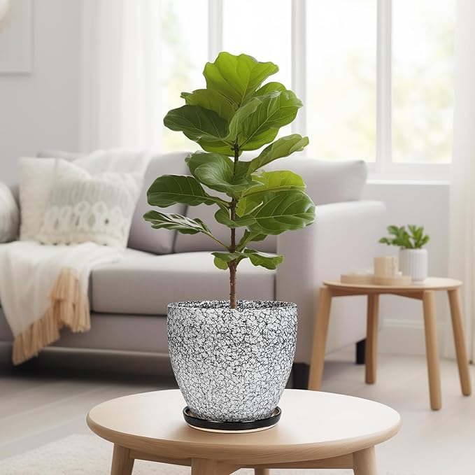 Ceraimc Plant Pot - 8 Inch Planter with Drainage and Saucer, Modern Round Planter, Flower Pot for Indoor Outdoor Plants, Home Room Garden Apartment Decor, Gifts for Plant Lovers, White-Black