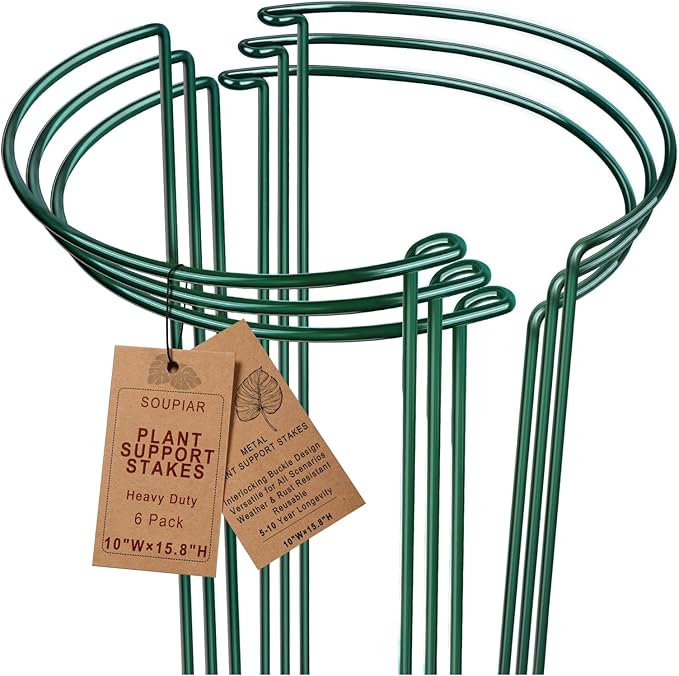 6 Pack Plant Support Stakes, 15.8" Half Round Metal Garden Plant Supports for Indoor Plants, Green Plant Cage Ring for Monstera, Peony, Hydrangea, Potted Plant Holder Sticks (10" Wide)