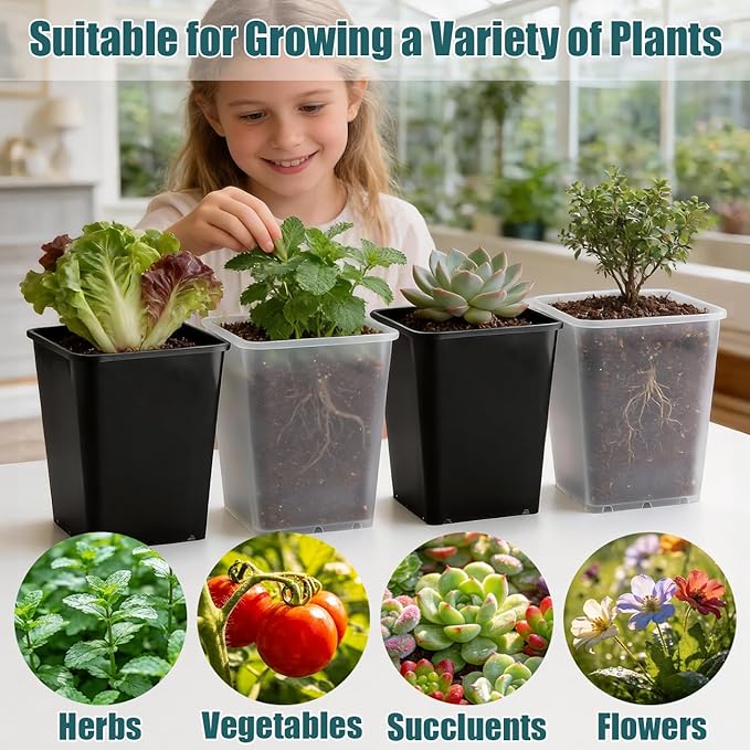 Nursery Pots 6 Inch 40 Pcs, Plastic Seed Starting Pot with Drainage Holes, Sturdy Seedling pots for Planting, Cuttings, Clear