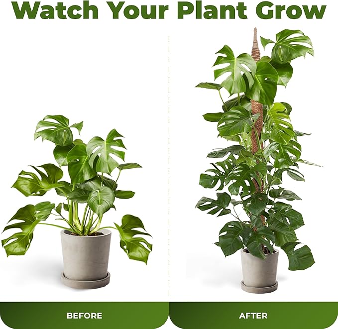 2 Pack 48'' Bendable Moss Pole Monstera Plant Support for Climbing Indoor Plants - Stakes for Potted Climbers - Tall Sticks Indoor Trellis for Houseplants - Accessories for Monstera Pot