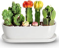 E-liu Oval Ceramic Planter Pot with Drainage Hole Saucers 14 Inch Succulents Planter Home Decor for Indoor Outdoor Plants Herb Cactus with 3 Mesh Pads, Plants Not Included, Black