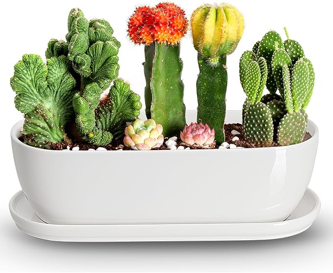 E-liu Oval Ceramic Planter Pot with Drainage Hole Saucers 14 Inch Succulents Planter Home Decor for Indoor Outdoor Plants Herb Cactus with 3 Mesh Pads, Plants Not Included, Black