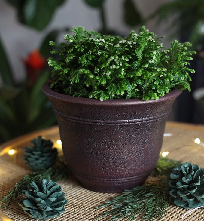 The HC Companies Sierra Round Self-Watering Pot - Lightweight Plastic Planter for Herbs & More - Durable Plant Pots for Indoor Plants & Outdoor Plants (10” Rustic Redstone, Pack of 1)