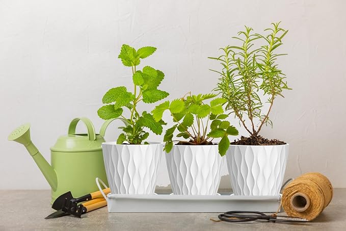 4 Inch Plant Pots, 6 Pack Indoor Flower Pots, Planters with Drainage Holes and Trays for Orchids, Violets, Succulents, Herbs, and Other Plants,White