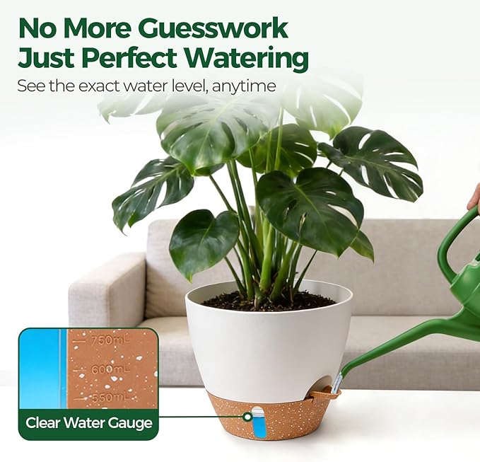 2 Pack 10 Inch Self Watering Pots - Water Level Indicator & Deep Reservoir, Mess-Free Planter for Busy People, Beginners & Gardeners, Fiddle Leaf Fig, Monstera, ZZ Plants, Indoor Outdoor Use (White)