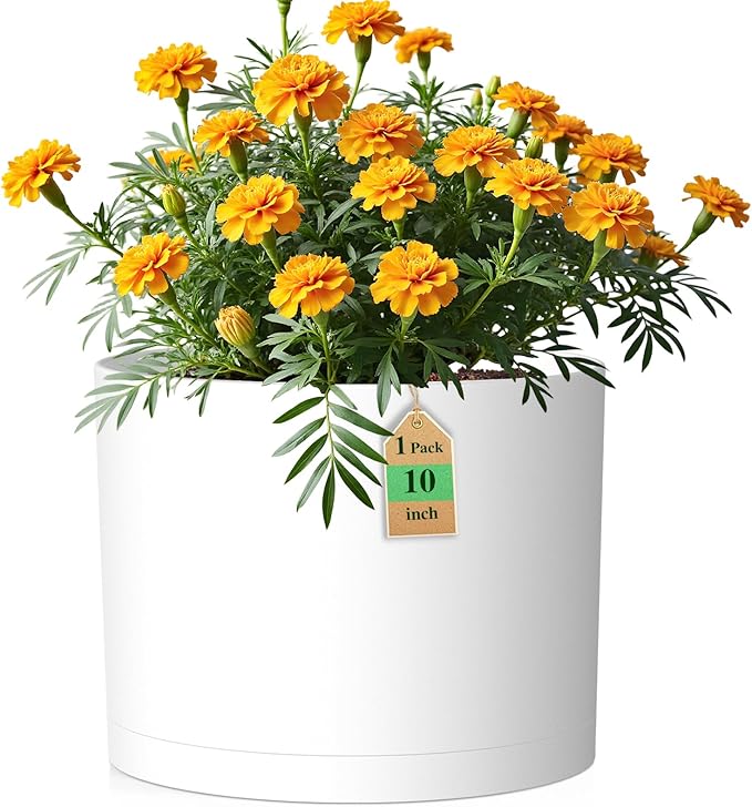10 Inch Round Plastic Plant Pot with Drainage Holes and Saucer, Wide Flower Pots for Indoor & Outdoor Plants– 7.9" Tall Modern Cylinder Planter Pot for House Plants and Home Decorative, Matte White