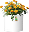 10 Inch Round Plastic Plant Pot with Drainage Holes and Saucer, Wide Flower Pots for Indoor & Outdoor Plants– 7.9" Tall Modern Cylinder Planter Pot for House Plants and Home Decorative, Matte White