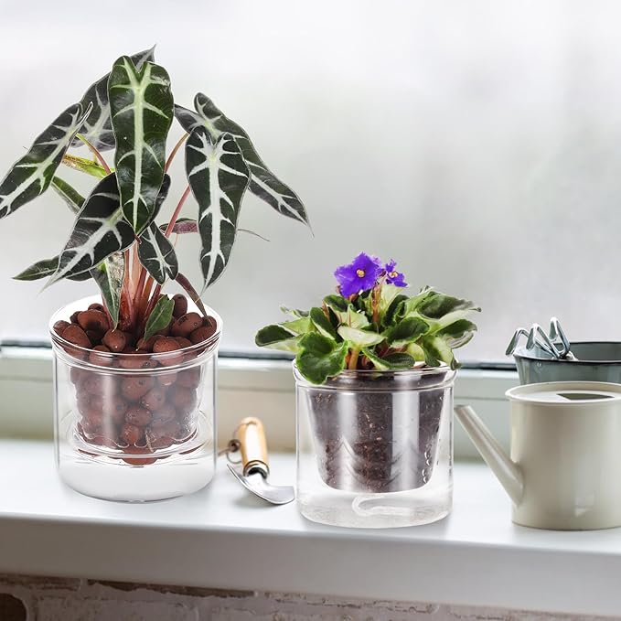 4 Inch Self Watering Pot,African Violet Pot,Bottom Watering Glass Planter for Indoor Plants and Progagation