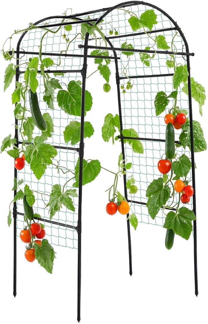 Lalahoni Garden Arch Trellis for Climbing Plants Outdoor, 80 Inch Tall Grape Metal Vine Plants Support Flower Vegetable Tomato, Cucumber Trellis for Raised Bed, Black