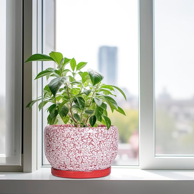 SQOWL Ceramic Planters for Indoor Plants - 10 Inch Flower Pots with Drainage Hole and Saucer, Decorative Ceramic Plant Pots, Round Large Planter Outdoor, Room Decor, Housewarming Gifts, Red and White