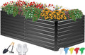 DTIG Galvanized Raised Garden Bed for Vegetables Flowers Herbs, Tall Metal Raised Garden Bed Kit with Garden Tools, Gloves, Plant Labels, Black 6×3×2FT