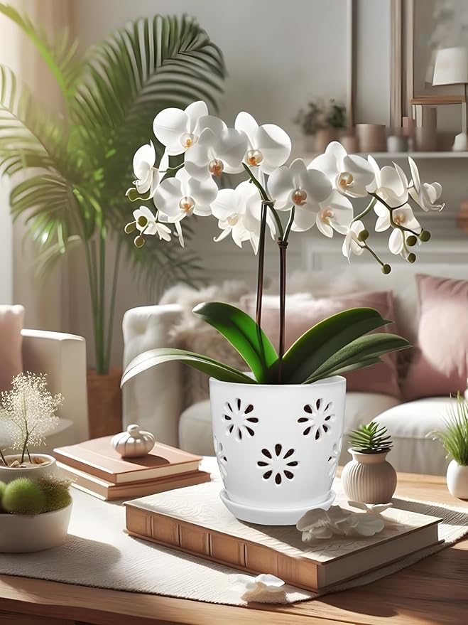 Oairse 6 inch Orchid Pots with Holes, White Ceramic Orchid Pot for Repotting Small Indoor Plant Pots with Drainage Holes and Saucers Decorative Flower Planter for Orchids, Indoor Plant