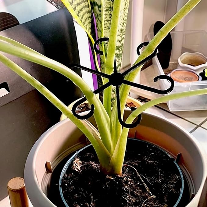 4Pcs Plastic Plant Climbers Stem Holders, Black Climbing Houseplant Stem Supports, 2 Sizes Reusable Flower Plant Stakes Trellis Hook for Indoor Plants Growth Accessories