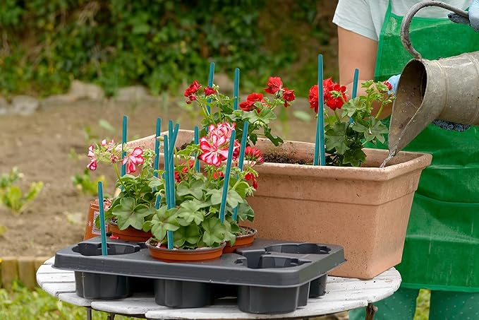 Garden Wood Plant Stakes Green Bamboo Sticks,HAINANSTRY Sturdy Floral Plant Support Stakes Wooden,Wooden Sign Posting Garden Sticks(25 Pack 15 Inches)