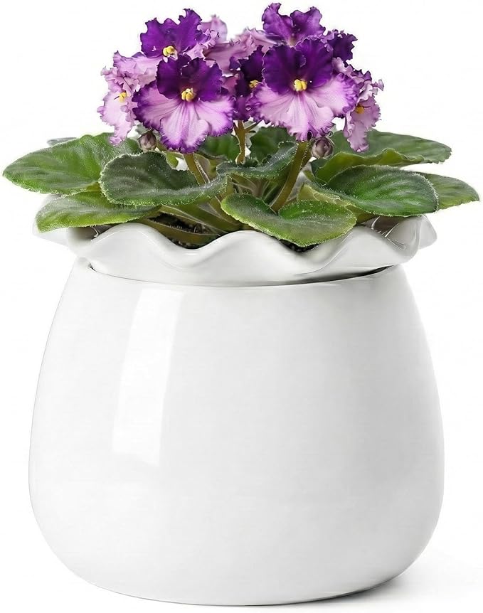 Self Watering Plant Pot, 6 Inch African Violet Pots Maintenance, Ceramic Self-Watering Planter for Indoor Plants - Ideal Flower Pot for Thriving Indoor Gardens, White