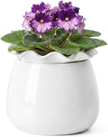 Self Watering Plant Pot, 6 Inch African Violet Pots Maintenance, Ceramic Self-Watering Planter for Indoor Plants - Ideal Flower Pot for Thriving Indoor Gardens, White