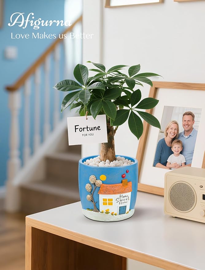 New Home Gift Ideas: New Home Apartment Plant Gift for Plant Lover - 5.3in Hand-Painted 3D Art Planter - Gardening House Warming Present for Christmas
