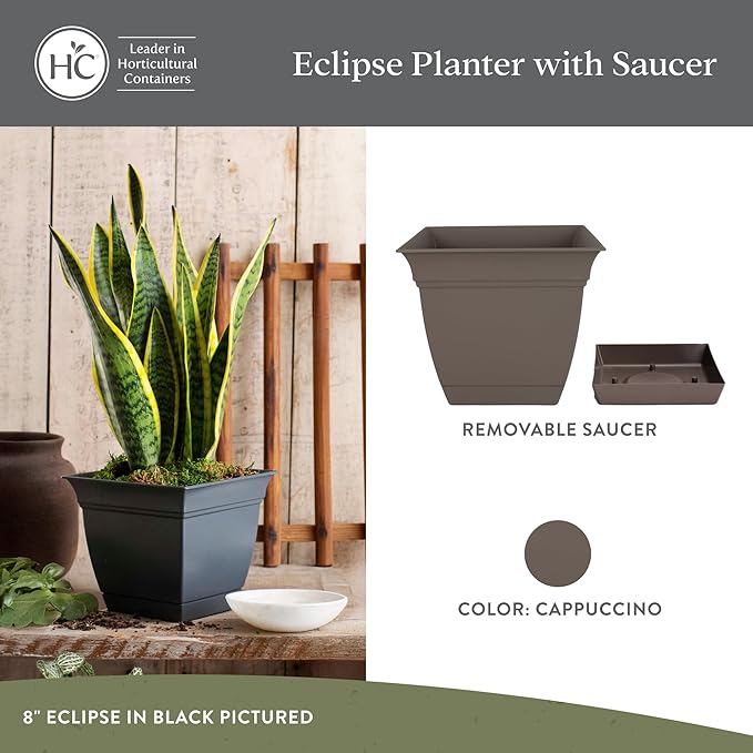 The HC Companies Eclipse Square Plastic Planter w/Attached Saucer - Outdoor & Indoor Plant Pot with Drainage Holes - Lightweight, UV-Resistant Plastic Pots for Plants (6" Cappuccino, Pack of 1)