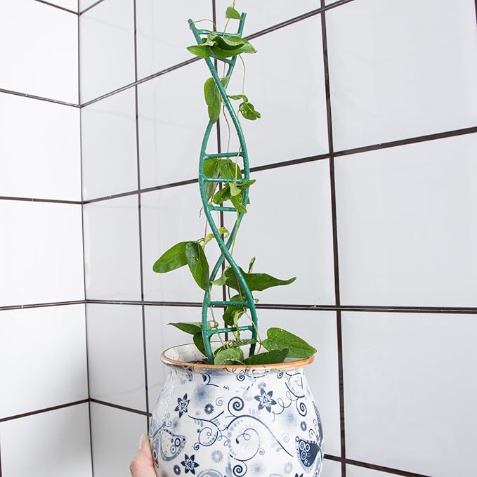 Indoor Plant Trellis - DNA Spiral Design Metal Trellis for Potted Plants, Stylish Climbing Support for Small Houseplants, Durable & Easy to Install Garden Upgrade for Vining Plants