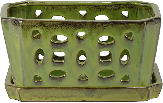 W&W Orchid Pot with Holes and Saucer for Repotting, YellowGreen, 9.7 Inch