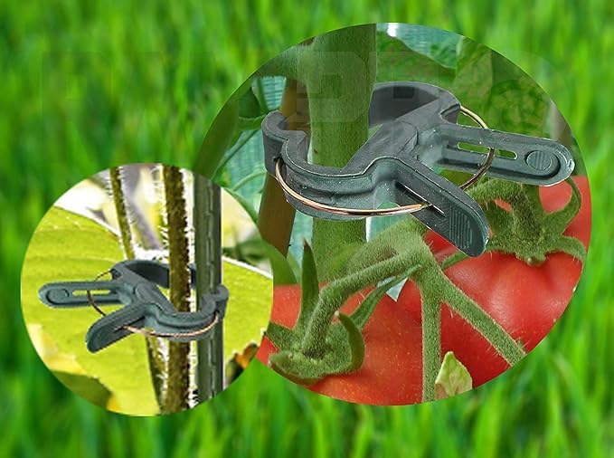 Plant Clips 80 Piece Green Gentle Gardening Plant & Flower Lever Loop Gripper Clips, Tool for Supporting or Straightening Plant Stems, Stalks, and Vines, Garden Clips, by RamPro