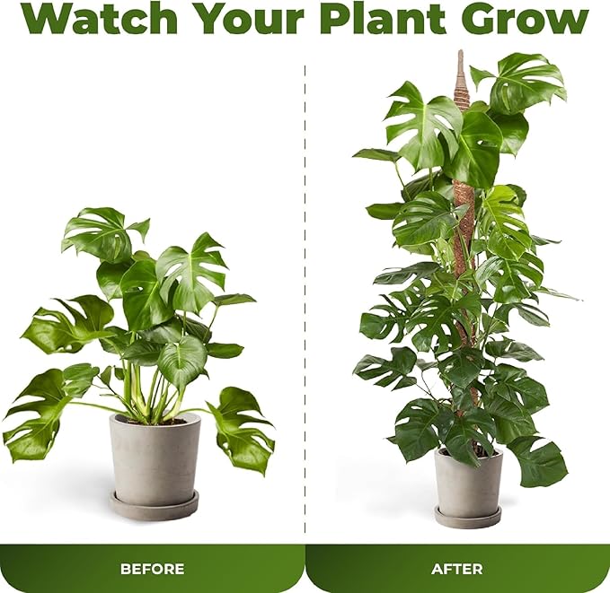 63 Inch Bendable Moss Pole Monstera Plant Support for Climbing Indoor Plants - Stakes for Potted Climbers - Tall Sticks Indoor Trellis for Houseplants - Accessories for Monstera Pot