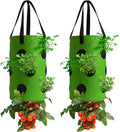 2 Pack Green Upside Down Tomato & Herb Planter, Outdoor Hanging Durable Aeration Fabric Strawberry Planter Bags