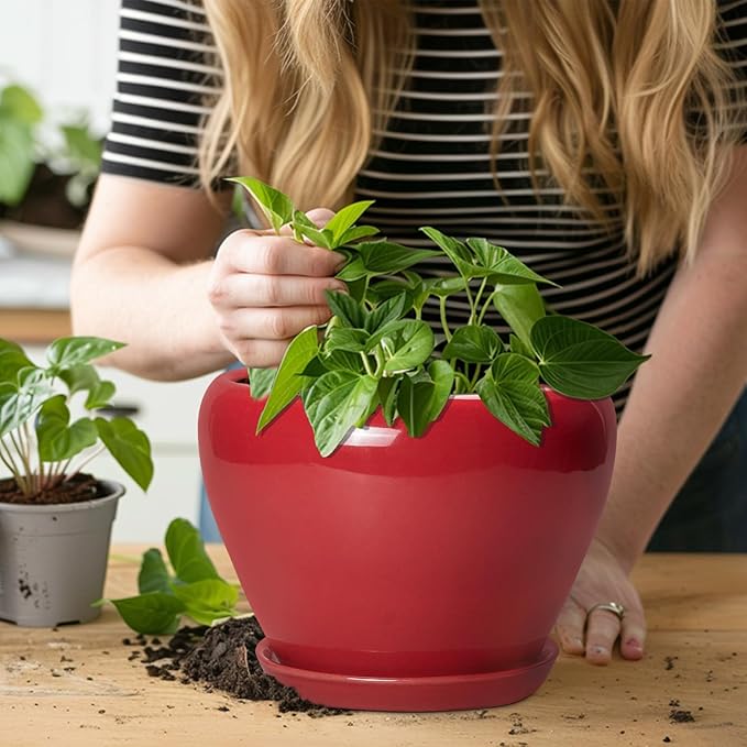 Ceramic Planter for Indoor Plants 8 Inch - Ceramic Plant Pot with Drainage Hole and Saucer, Glaze Round Decorative Modern Flower Pot, Housewarming Gift, Home Room Office Decor, Red