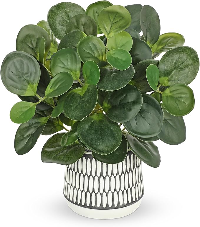 12" Artificial Plants Indoor Small Fake Plant in Ceramic Pot, Silk Plants for Home Decor Indoor, Faux Peperomia Potted Plant for Shelves, Desks, Home, Room, Office, Bedroom, Entryway, Tabletop Decor