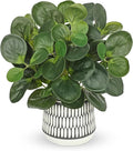 12" Artificial Plants Indoor Small Fake Plant in Ceramic Pot, Silk Plants for Home Decor Indoor, Faux Peperomia Potted Plant for Shelves, Desks, Home, Room, Office, Bedroom, Entryway, Tabletop Decor