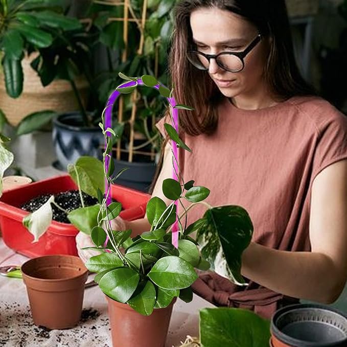 3 Pack Colorful Acrylic Plant Trellis for Indoor Plants, U-Shaped Small Plant Trellis for Potted Plants, Waterproof Climbing Support for Vine Ivy, Hoya, Pothos, Home Garden Decor