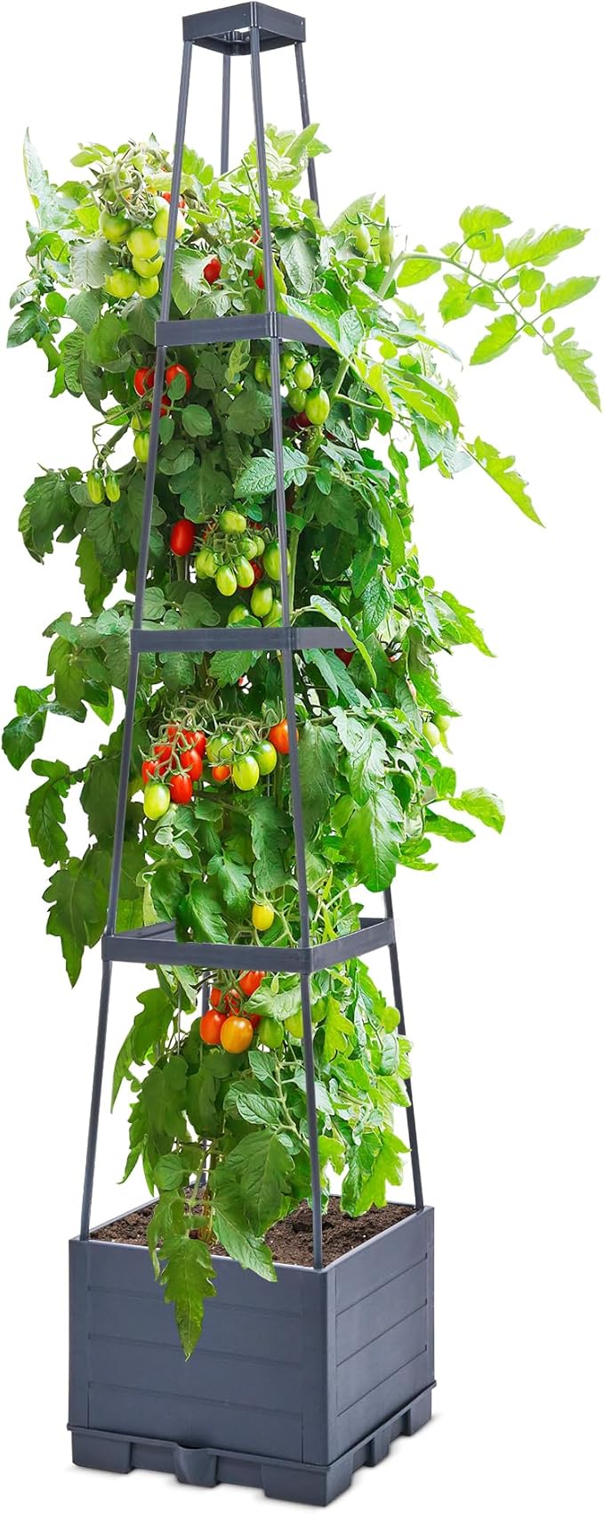GENMOUS 4 Tiered Tomato Planter with Box Trellis, 56'' Raised Garden Bed Planter Boxes, Tomato Cages for Garden Patio Climbing Plants Vegetable Vine Flowers Outdoor & Indoor