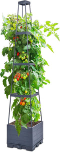 GENMOUS 4 Tiered Tomato Planter with Box Trellis, 56'' Raised Garden Bed Planter Boxes, Tomato Cages for Garden Patio Climbing Plants Vegetable Vine Flowers Outdoor & Indoor