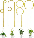 14.17in Plant Trellis Indoor, 4.2mm Dia Gold Small Trellis for Potted Plants, Metal Trellis for Climbing Plants Indoor Support for houseplant Hoya Photos Succulents Hostas, Plant Decor