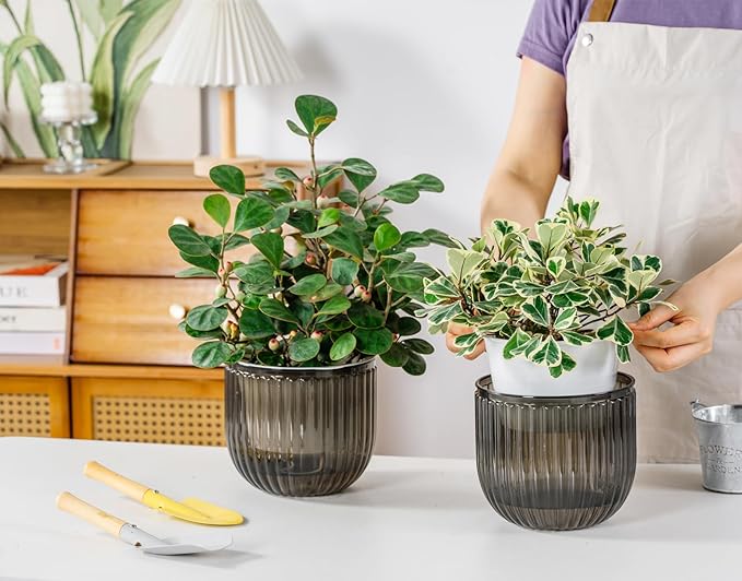 Melphoe Self Watering Pots for Indoor Plants Planter, 6.5 Inch 2 Pack Planters Self Watering Plant Pots for Flower, Houseplants, Succulent, African Violets and Cactus with Drainage