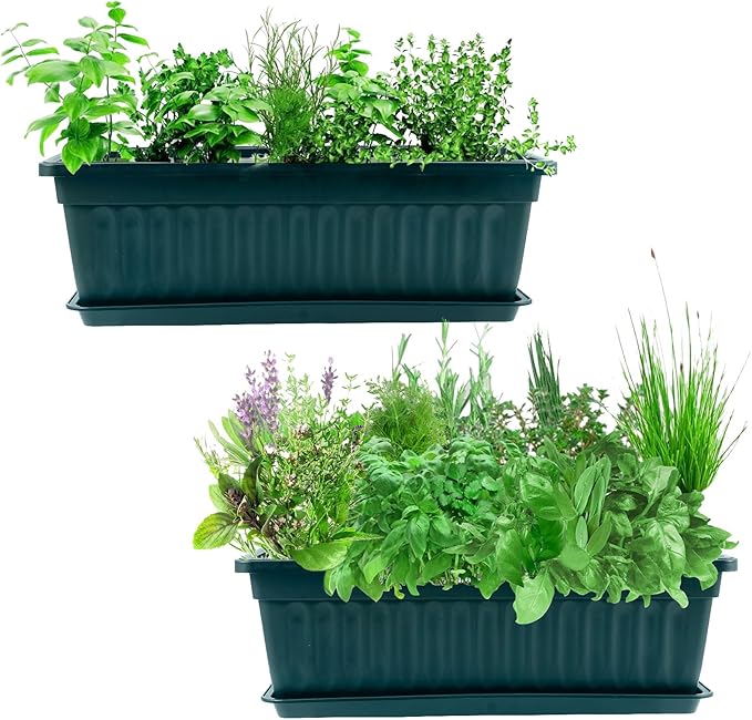 JOIKIT 6 Packs 17 x 7.5 x 5.5 Inch Plastic Window Planter Boxes with Trays, Plastic Vegetable Planter with 30 Plant Label, Countryside Flower Box Pot for Garden Windowsill Patio Balcony, Dark Green