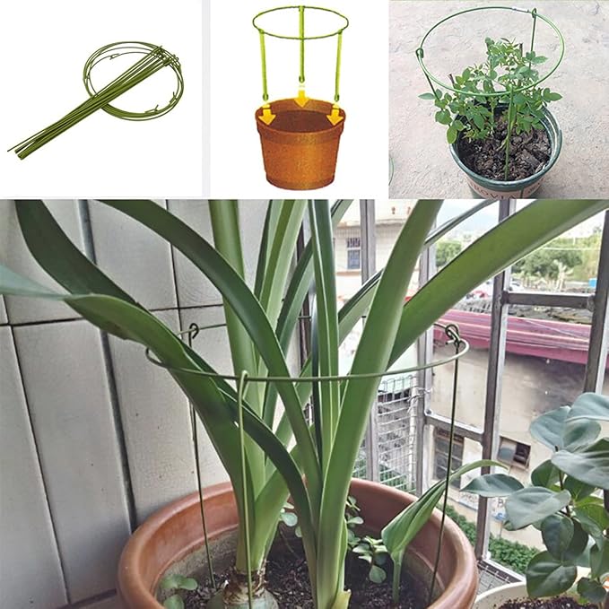 Hanobo 5 Pack Garden Plant Support Rings for Potted Plant, 6" Wide x 11" High, 3 Legs
