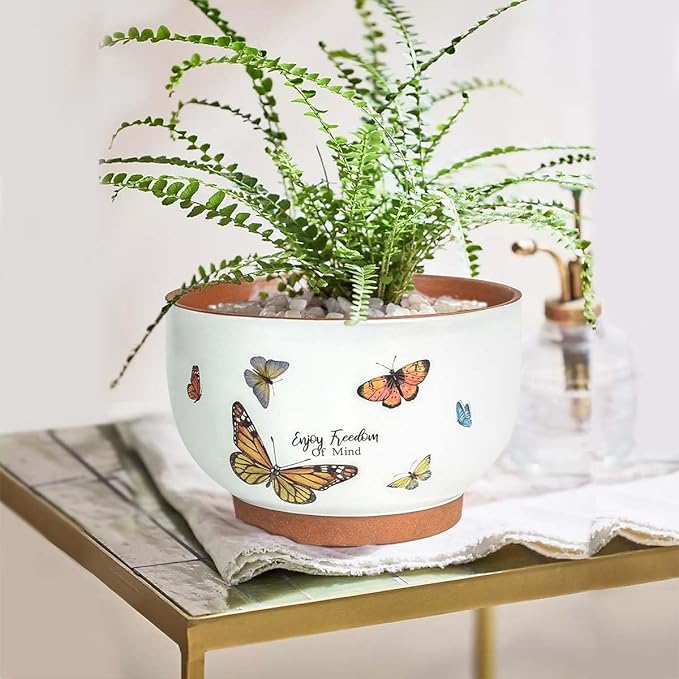 YBX 8 Inch + 6 Inch Terracotta Plant Pots, Flower Pots for Indoor Plants with Drainage, Planters with Butterfly Accent for Indoor Plants (Tropical)