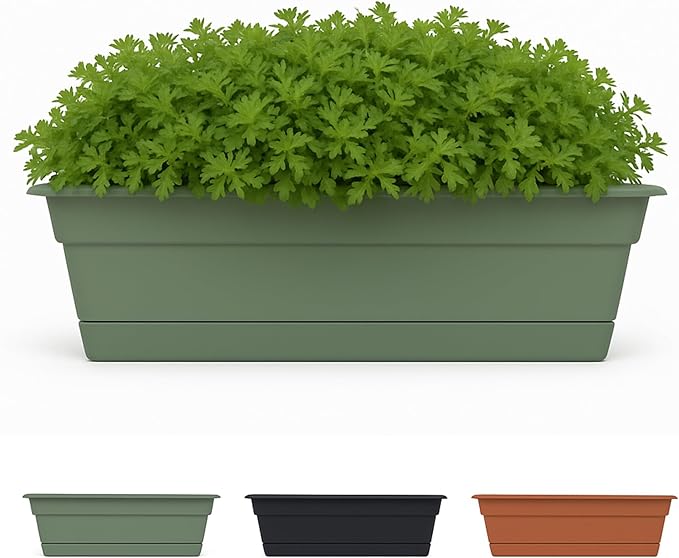 Bloem Dura Cotta 30" Basil Resin Rectangle Window Box Planter with Saucer Tray for Indoor and Outdoor Gardening